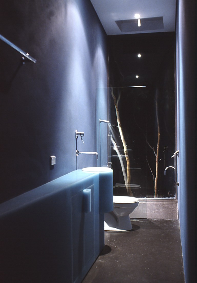 Larson Kelly Residence 40_guest bathroom_Stephen Varady Photo ©