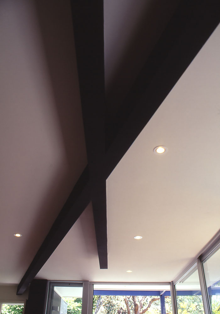 McEwin Pace Residence 11_black beams 3_Stephen Varady Photo ©