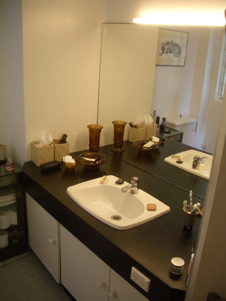 Porter Apartment 12a_bathroom_before_Stephen Varady Photo ©